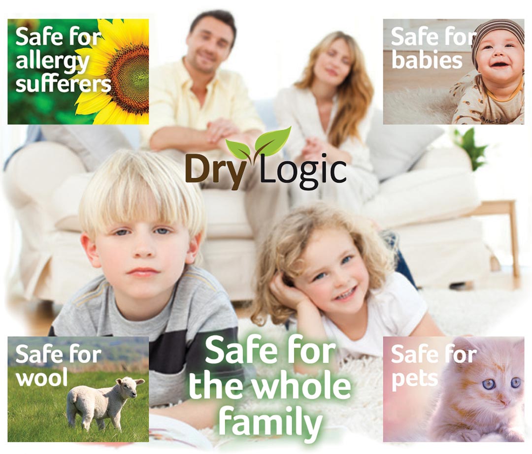 Dry Logic carpet cleaning is safe for the whole family