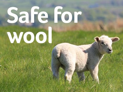 Carpet cleaning safe for wool